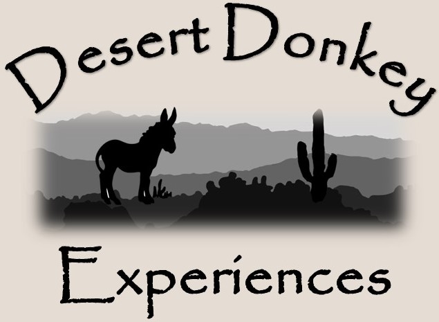 Desert Donkey Experiences